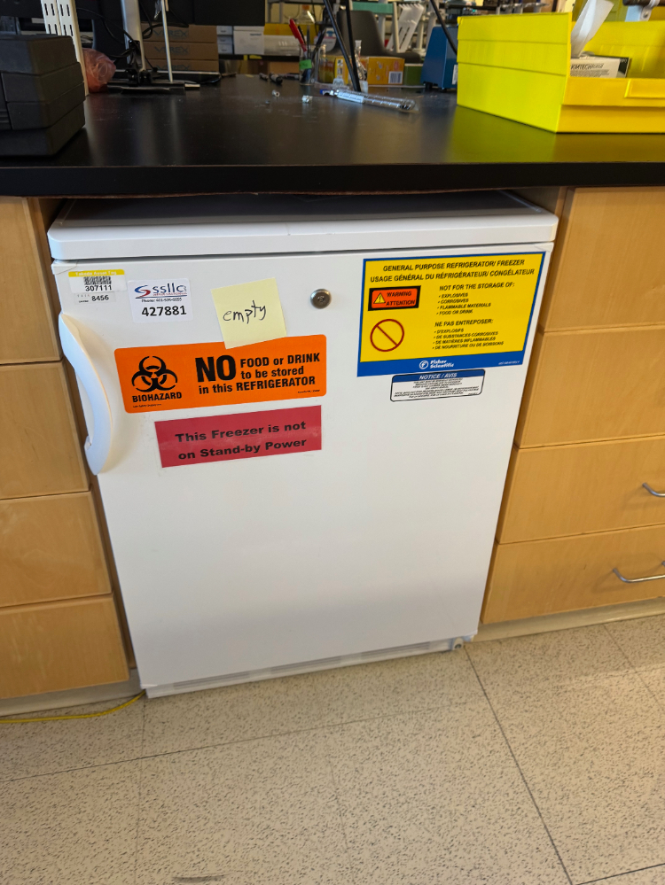 Image of Fisher Scientific Undercounter Refrigerator